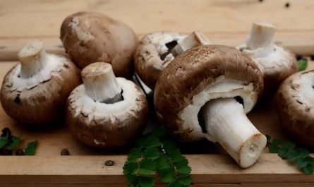 Dream about buying mushrooms: 11 main meanings explained