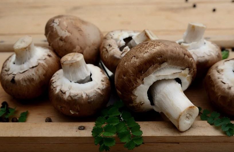 Dream about buying mushrooms: 11 main meanings explained