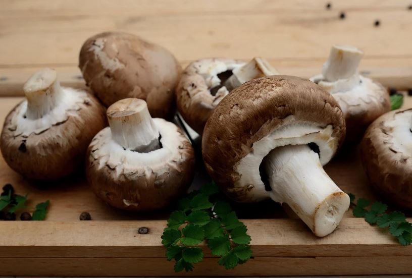Dream about buying mushrooms: 11 main meanings explained