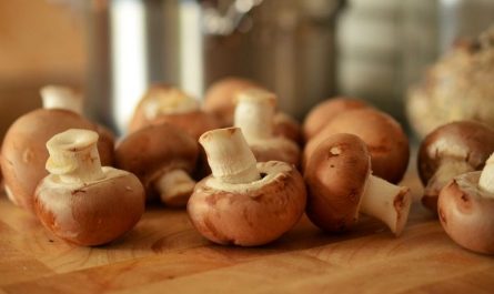 Dream about digging mushrooms: 8 main meanings explained