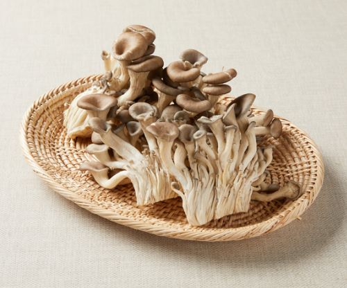 Dreaming of oyster mushrooms: 10 main meanings explained