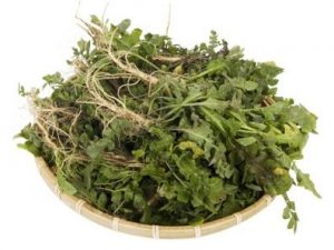 Dream about picking radishes: 21 main meanings explained