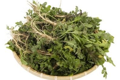 Dream about picking radishes: 21 main meanings explained