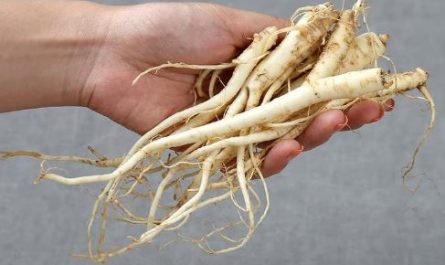 Dreaming of bellflowers: 11 main meanings explained