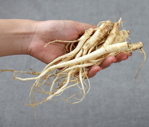 Dreaming of bellflowers: 11 main meanings explained