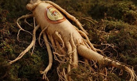 Dream about eating fresh ginseng: 16 main meanings explained