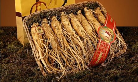 Dream about digging ginseng: 15 main meanings explained