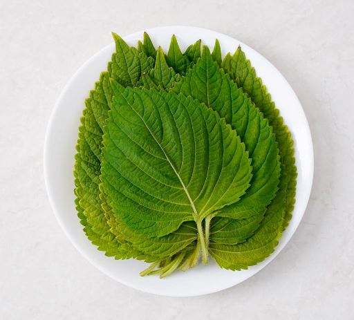 Dream about eating sesame leaves: 12 main meanings explained