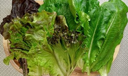 Dream about eating lettuce: 17 main meanings explained