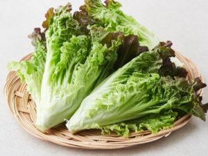 Dream about Picking lettuce: 13 main meanings explained