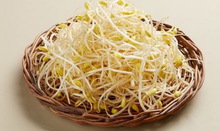 Dream about receiving sprouts: 8 main meanings explained