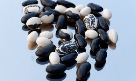 Dream about picking beans: 8 main meanings explained