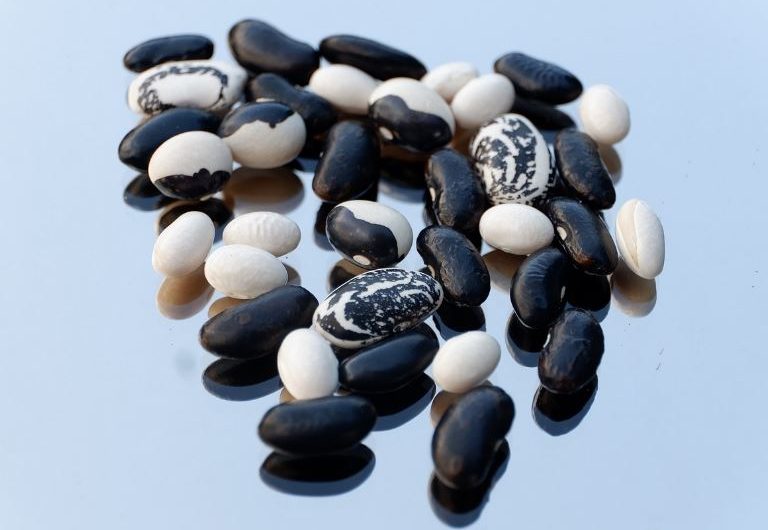 Dream about picking beans: 8 main meanings explained