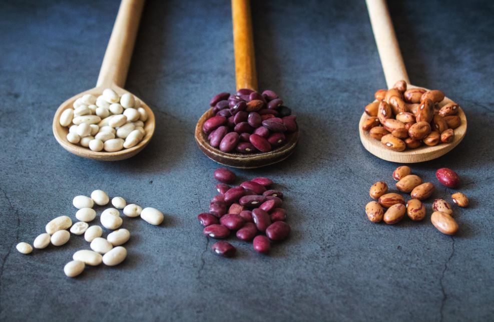 Dream about planting beans: 7 main meanings explained