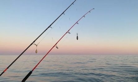 Dreams About Fishing: 55 scenarios and their interpretations