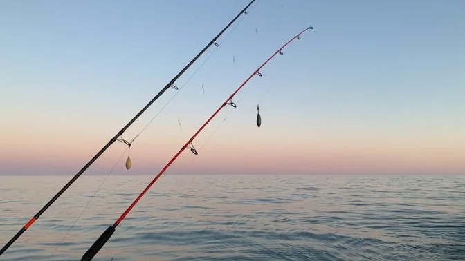 Dreams About Fishing: 55 scenarios and their interpretations