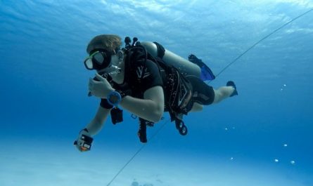 Dream about scuba diving: 27 scenarios and their interpretation