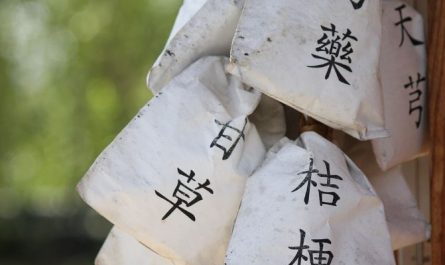 Dreams about herbs: 5 meaning and symbolism