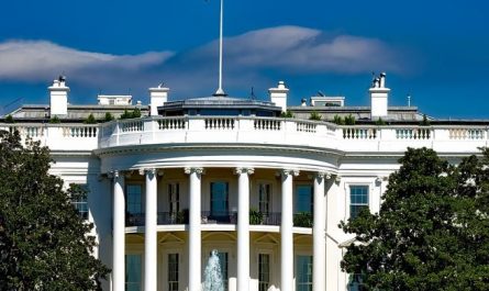 Dream about fighting with the president: 5 Main Meanings Explained