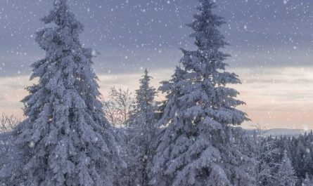 Dream about clearing snow : 5 Main Meanings Explained