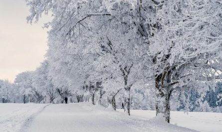 Dream about eating snow: 5 Main Meanings Explained