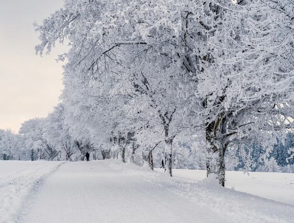 Dream about eating snow: 5 Main Meanings Explained