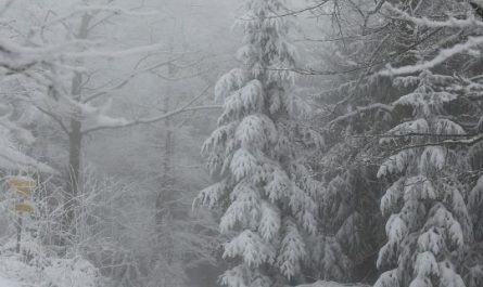 Dream of seeing snow: 5 Main Meanings Explained