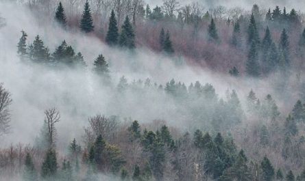 Dream about cold: 5 Main Meanings Explained