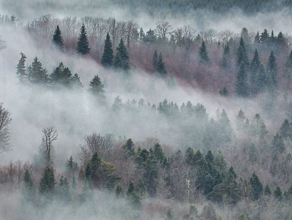 Dream about cold: 5 Main Meanings Explained