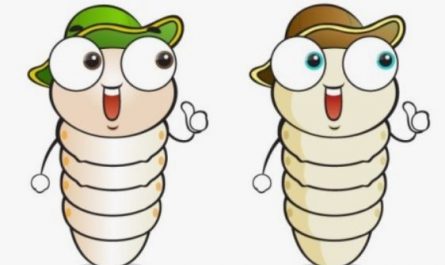 Dreaming of maggots on your body: 5 Main Meanings Explained