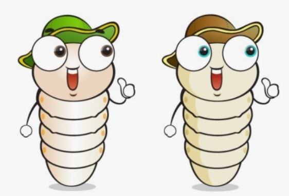 Dreaming of maggots on your body: 5 Main Meanings Explained