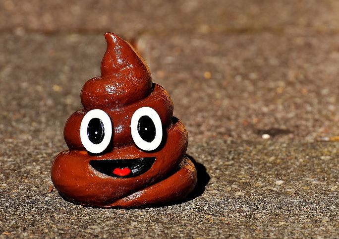 Dreaming of poop on your body: 5 Main Meanings Explained