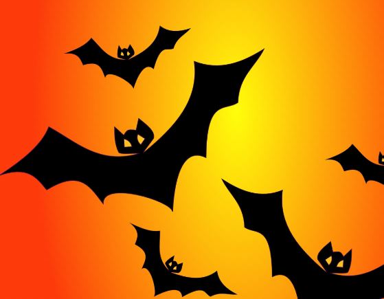 Dream of killing a bat : 5 Main Meanings Explained
