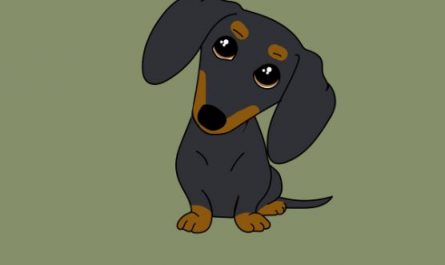 Dream about catching a dog : 11 Main Meanings Explained