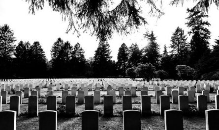 Dream about brother dying of illness : 15 Main Meanings Explained