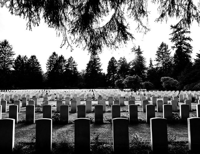 Dream about brother dying of illness : 15 Main Meanings Explained