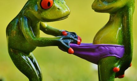 Dream about men's underwear : 16 Main Meanings Explained