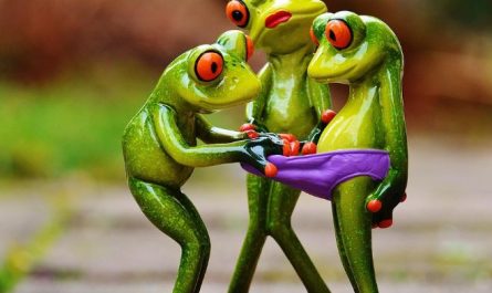 Dream about panties : 16 Main Meanings Explained