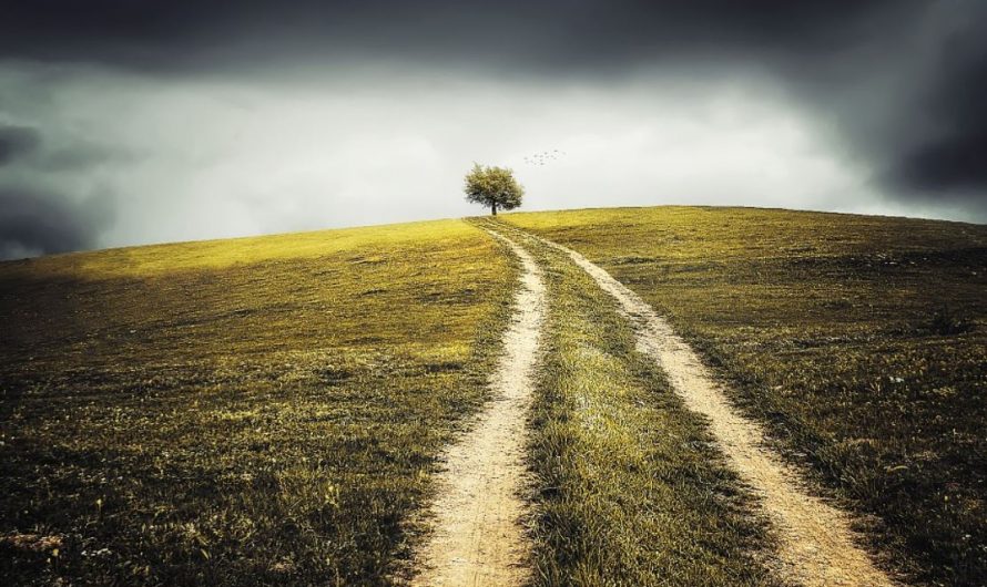 Dream about hills : 12 Main Meanings Explained