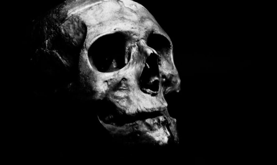 Dream about beheaded : 13 Main Meanings Explained