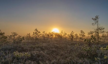 Dreaming of Night to Early Morning: 6 Meanings and Symbols