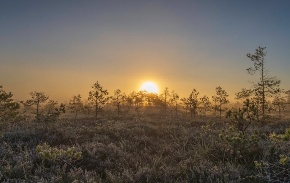 Dreaming of Night to Early Morning: 6 Meanings and Symbols