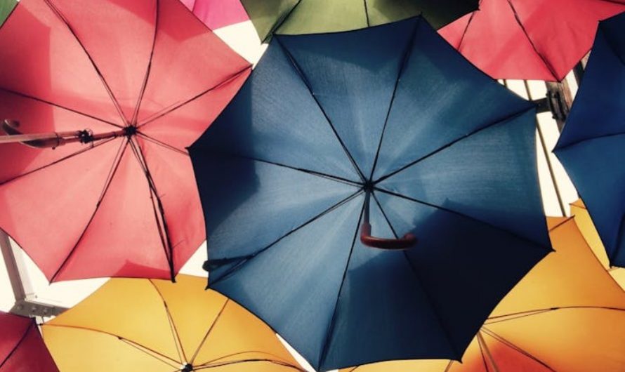 Dream about fighting with an umbrella: 17 meanings and symbols