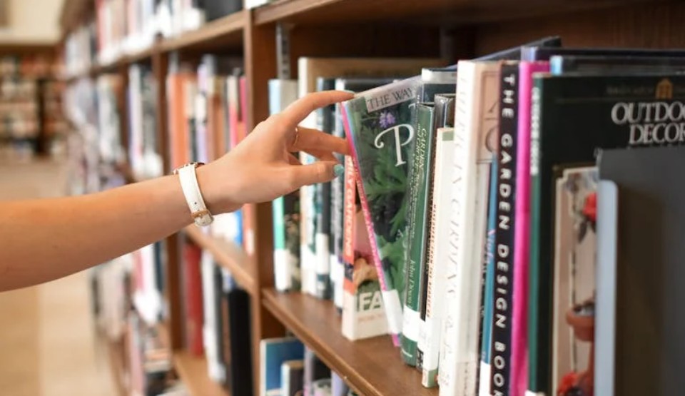 Dream about working in a library: 9 meanings and symbols