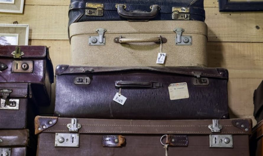 Dream about stolen luggage: 6 meanings and symbols