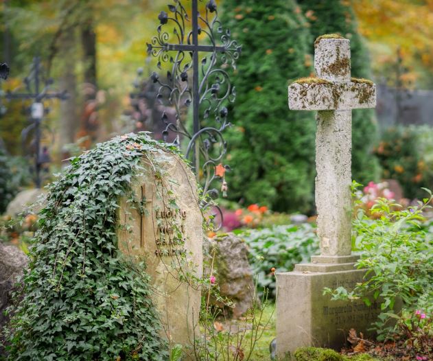 Dreaming of a Cemetery : 12 meanings and symbols