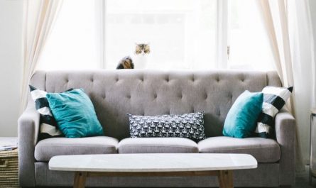 Dreaming of a Sofa : 12 meanings and symbols