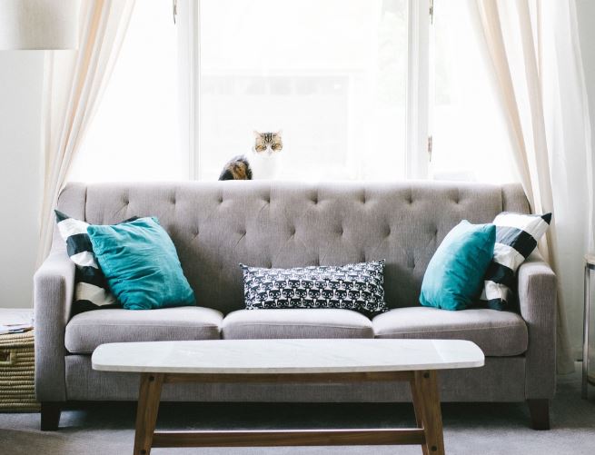 Dreaming of a Sofa : 12 meanings and symbols