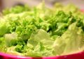 Dreaming of Lettuce : 14 meanings and symbols