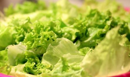 Dreaming of Lettuce : 14 meanings and symbols
